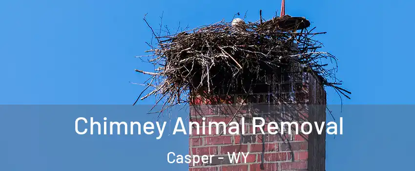 Chimney Animal Removal Casper - WY