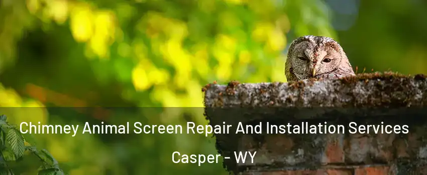  Chimney Animal Screen Repair And Installation Services Casper - WY