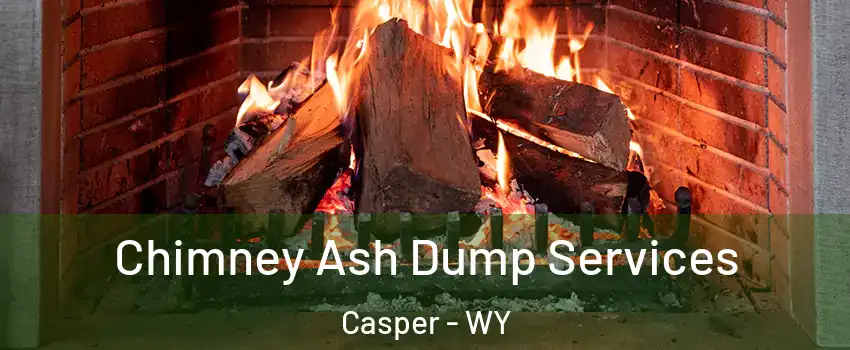  Chimney Ash Dump Services Casper - WY