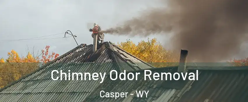  Chimney Odor Removal Casper - WY
