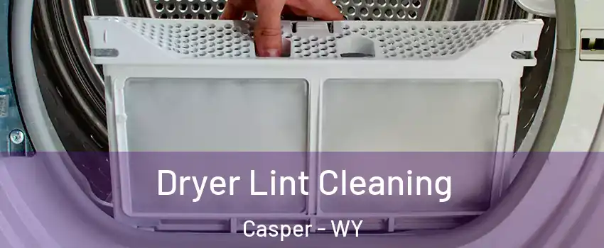  Dryer Lint Cleaning Casper - WY