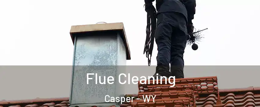  Flue Cleaning Casper - WY