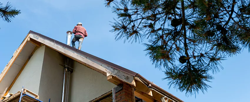 Birds Removal Contractors from Chimney in Casper, WY