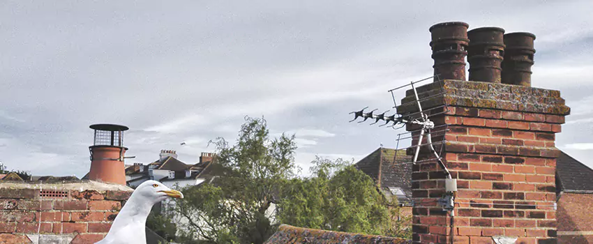Chimney Cleaning And Restoration in Casper, Wyoming