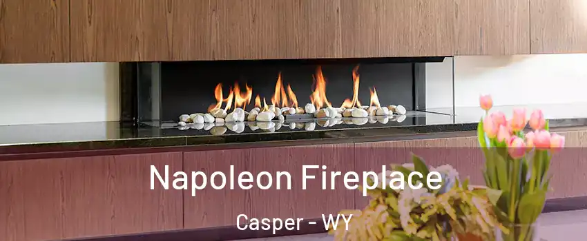  Napoleon Fireplace Casper - WY
